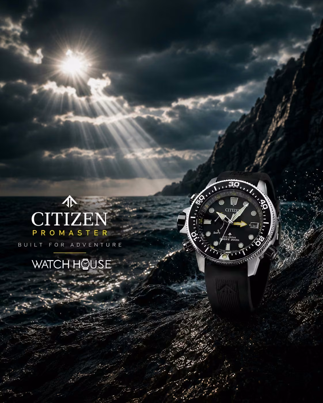 Citizen Promaster