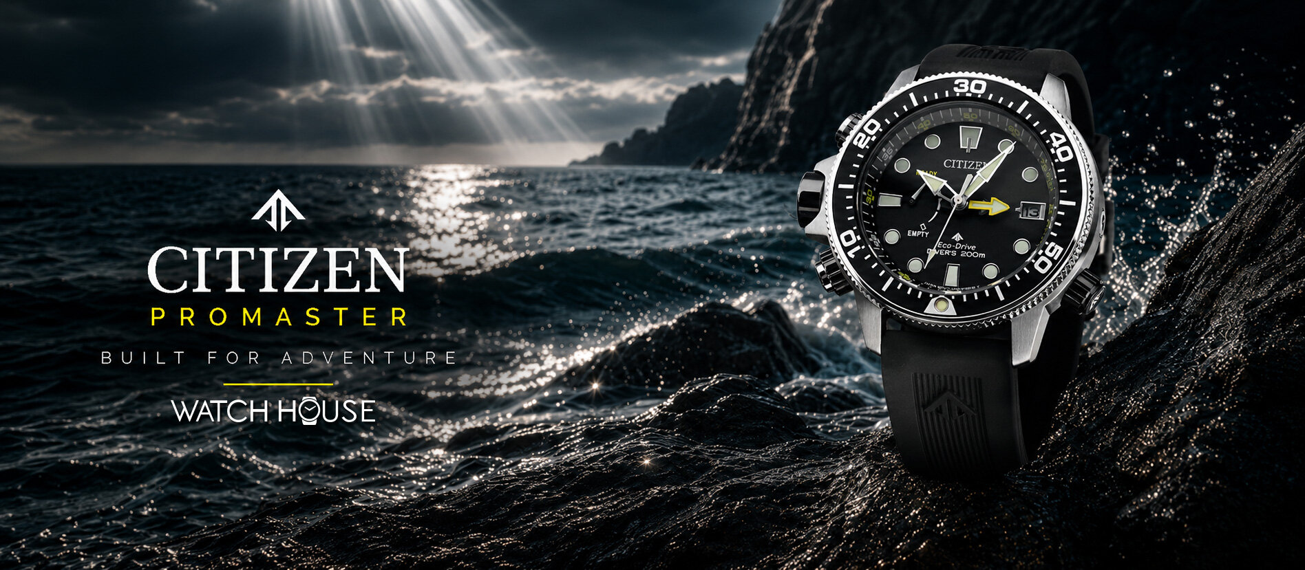 Citizen Promaster