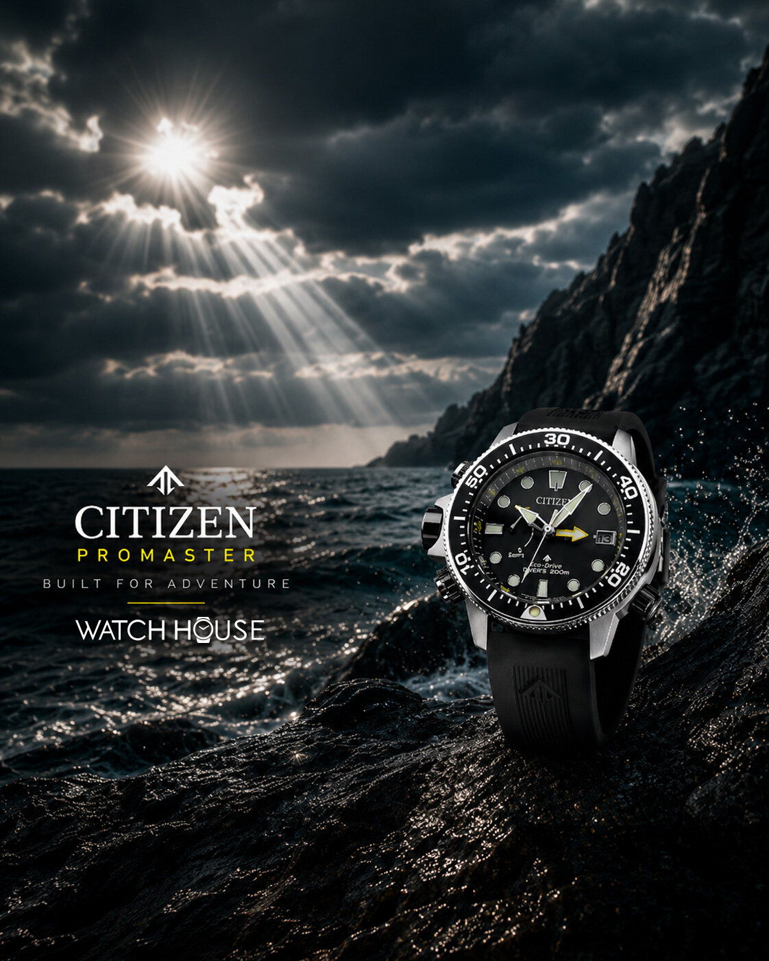 Citizen Promaster