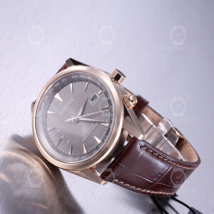 Citizen Funkuhr mit Weltzeit CB0273-11H Roségold-Grau
