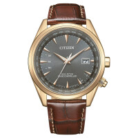 Citizen Funkuhr mit Weltzeit CB0273-11H Roségold-Grau
