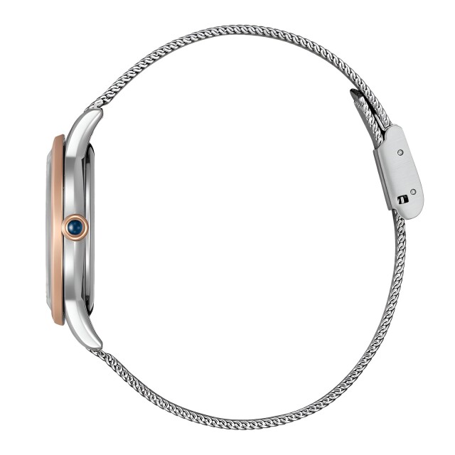 Citizen L Damen Eco-Drive mit Milanaisenband EM1156-80X Bicolor