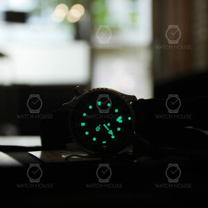 Citizen Promaster Marine Diver Automatic Watch NY0040-09EEM