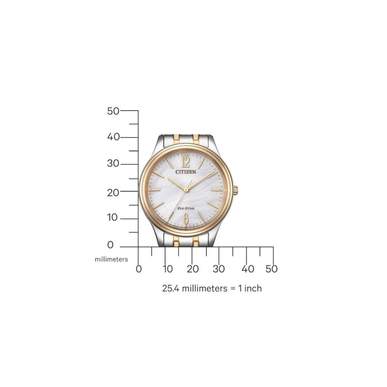 Citizen Elegance Damenuhr EM0416-78A Perlmutt Weiß Bicolor