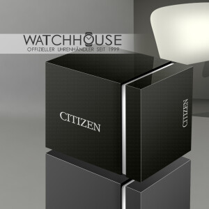 Citizen Elegant FC0010-55D Damen Funkuhr mit Dualzeit