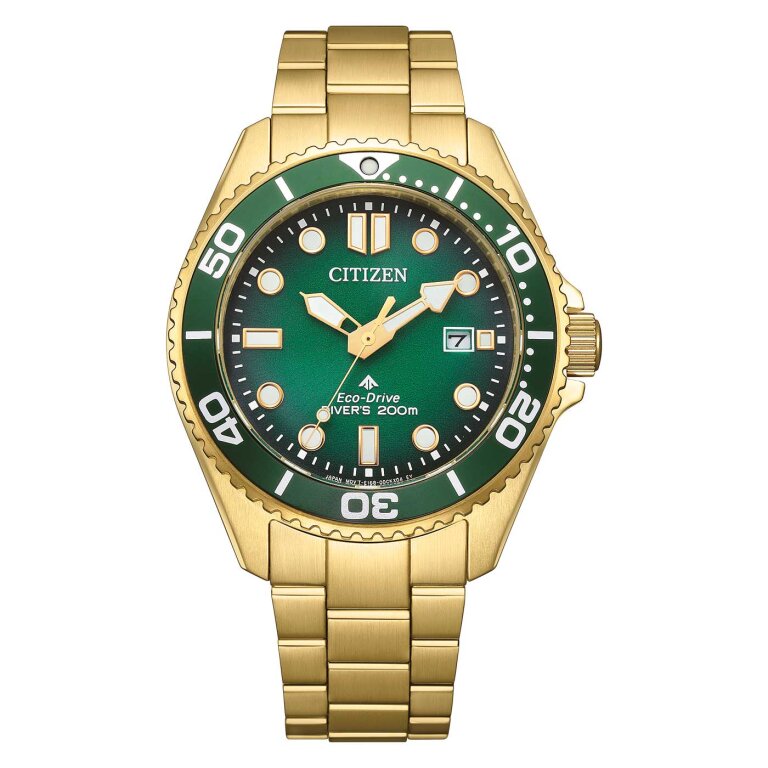Citizen Promaster Eco-Drive Diver ISO 200M BN0262-59W Gold
