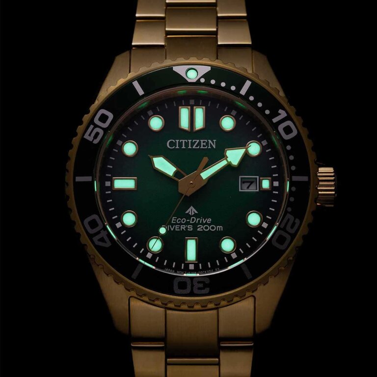 Citizen Promaster Eco-Drive Diver ISO 200M BN0262-59W Gold