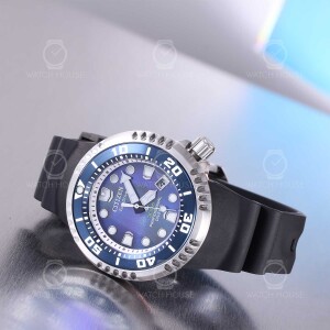 Citizen BN1025-08L Proffesional Diver - Sea of Silence
