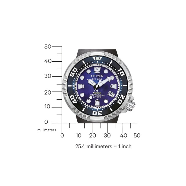 Citizen BN1025-08L Proffesional Diver - Sea of Silence