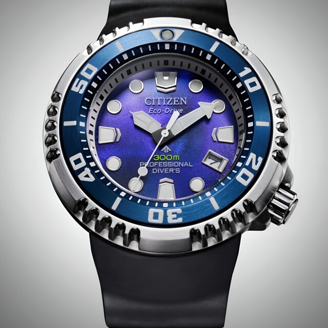 Citizen BN1025-08L Proffesional Diver - Sea of Silence