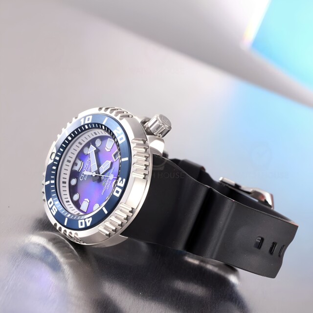 Citizen BN1025-08L Proffesional Diver - Sea of Silence