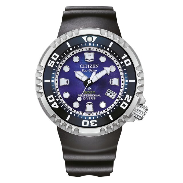 Citizen BN1025-08L Proffesional Diver - Sea of Silence