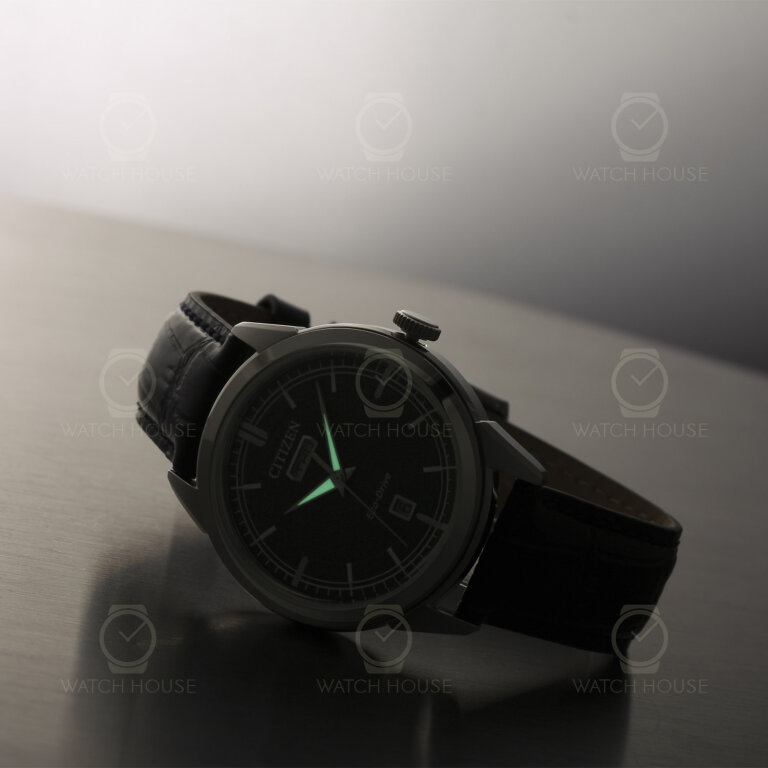 Citizen Eco Drive Elegance Classic Day-Date AW0151-00L