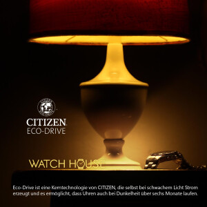 Citizen Eco-Drive radio clock CB5020-87L with alarm and chronograph