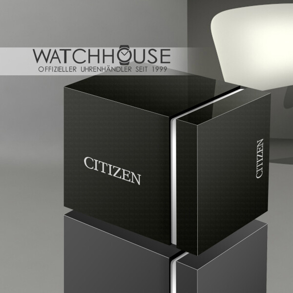 Citizen Basic BI5074-56A Quartz Men's Wristwatch