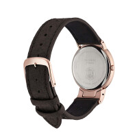 Citizen EG7072-19X - exclusive sustainable timepiece with luxurious diamond setting