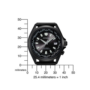 Citizen CB0225-14 World Timer Radio Controlled Ecodrive watch in black