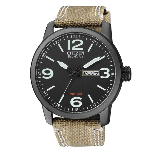 citizen ca0641