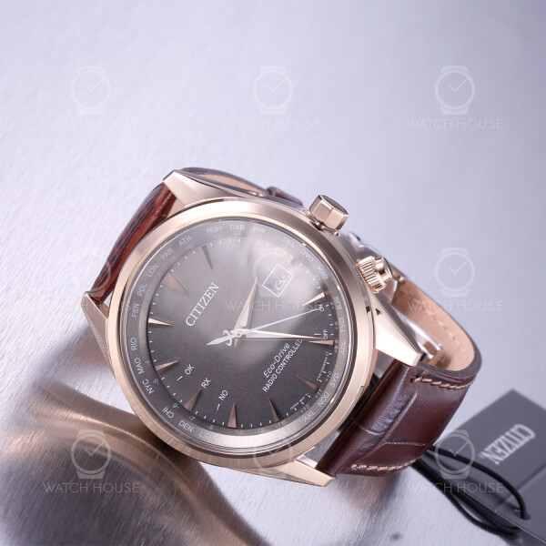 Citizen Funkuhr mit Weltzeit CB0273-11H Roségold-Grau