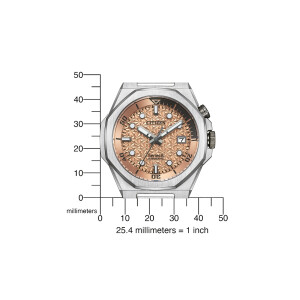 Citizen Limited Series 8/890 Automatic Watch NB6066-51W Copper