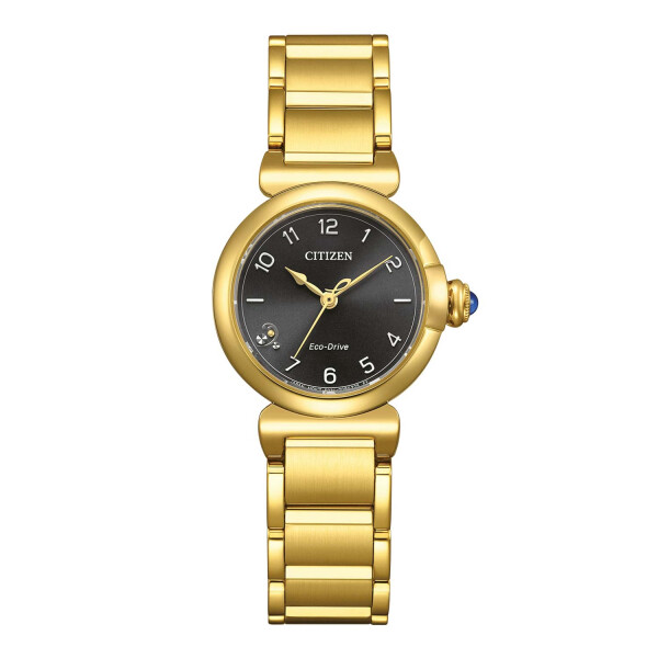 Gold eco drive citizen watch hotsell