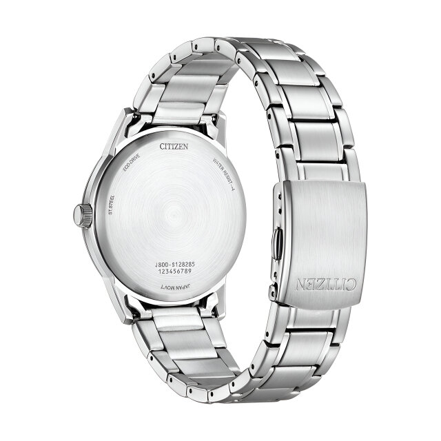 Citizen AW0100-86EC Eco Drive large tag in black