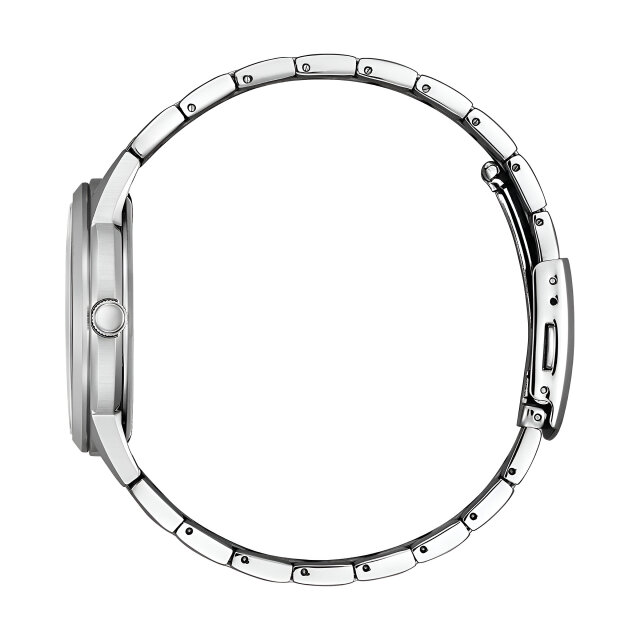 Citizen AW0100-86EC Eco Drive large tag in black