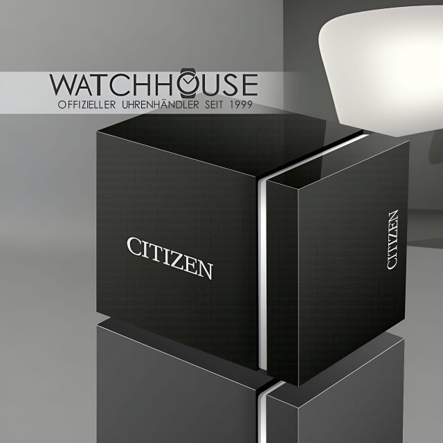 Citizen Elegant Radio-Controlled Worldtime CB0010-88E