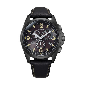 Citizen Promaster Land Funkuhr CB5925-15E Eco Drive Alarm...