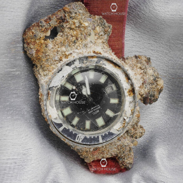 Citizen Promaster Marine Fujitsubo Taucher Titan Automatikuhr NB6021-17E