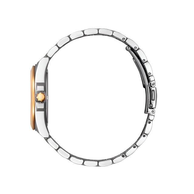 Citizen Unisex Eco Drive EO1213-85E in Bicolor und mit schwarzem Zifferblatt