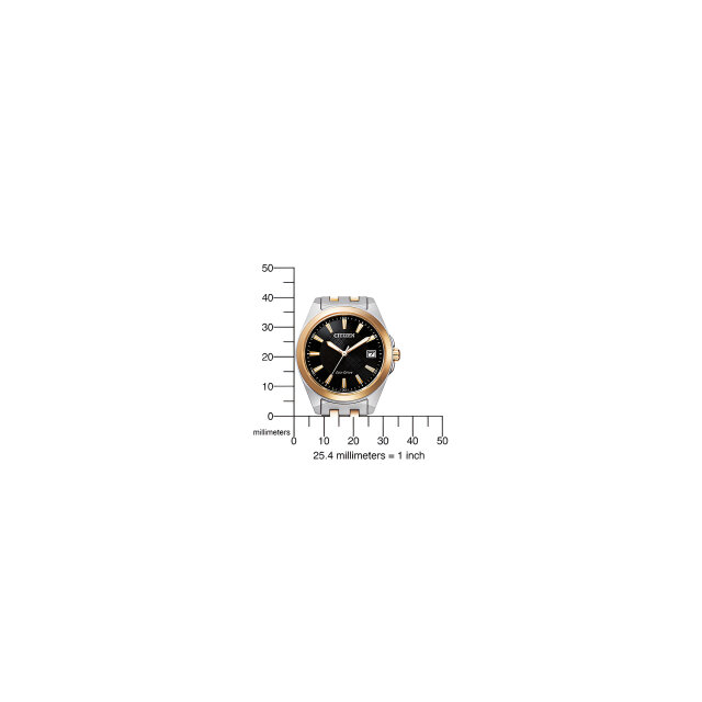 Citizen Unisex Eco Drive EO1213-85E in Bicolor und mit schwarzem Zifferblatt